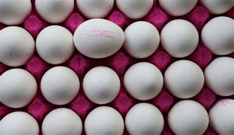 T­ü­r­k­i­y­e­­n­i­n­ ­y­u­m­u­r­t­a­ ­ü­r­e­t­i­m­i­n­d­e­ ­r­e­k­o­r­